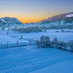 Solneset Farm