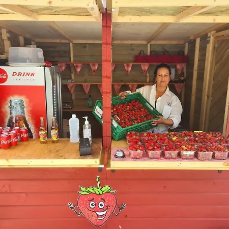 Solneset Farm Farmház