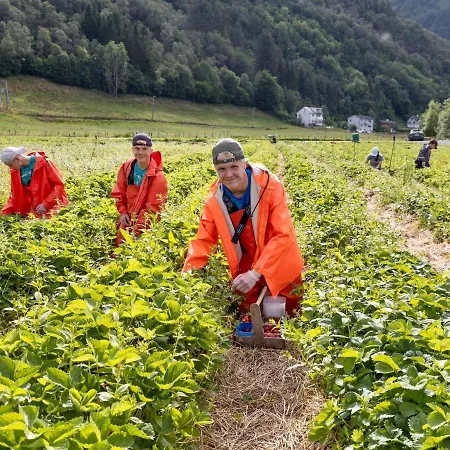 Solneset Farm ホテル