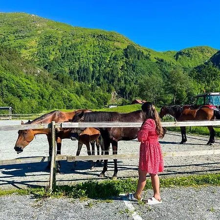 Solneset Farm ホテル