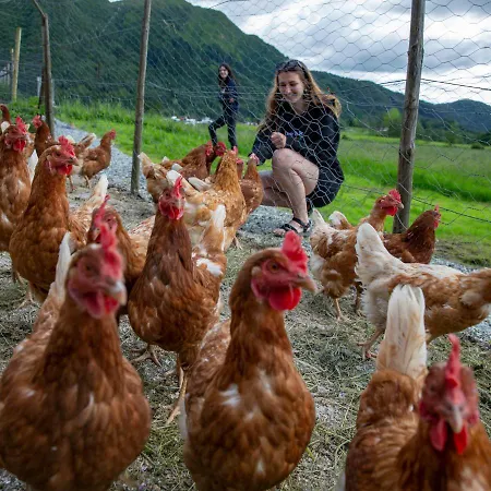 Solneset Farm * ベルゲン