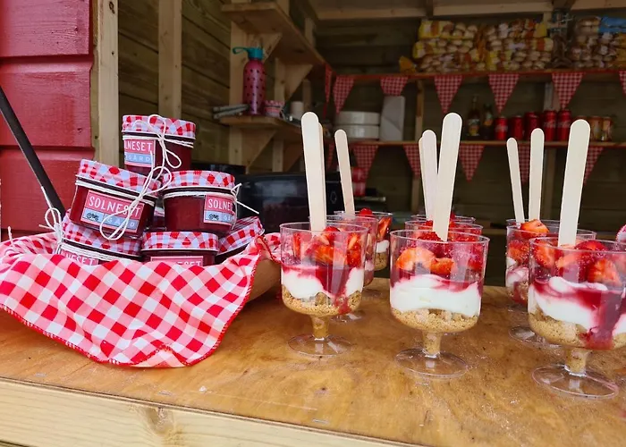 Solneset Farm * برغن