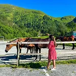 Solneset Farm Hotel
